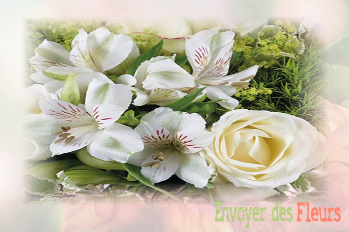 envoyer des fleurs à à SAINT-HILAIRE-LES-PLACES